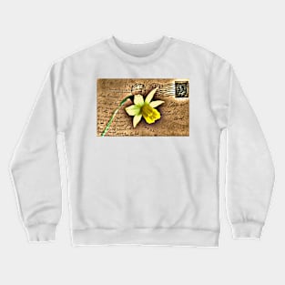 Daffodil on Vintage 1909 Postcard Crewneck Sweatshirt